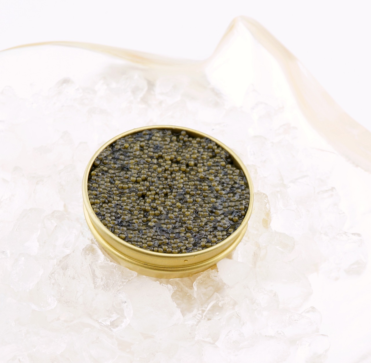 Caviar Spatule