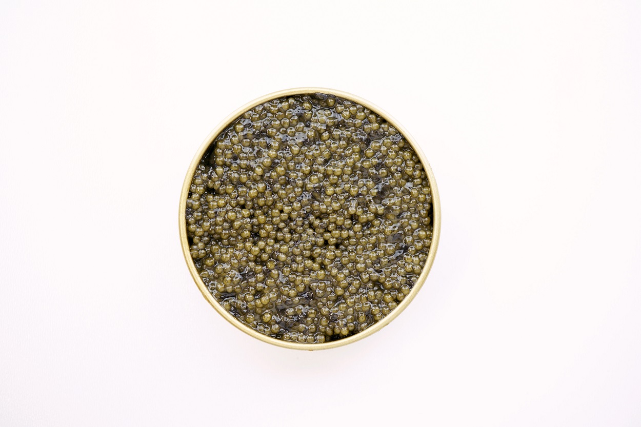 Caviar Spatule