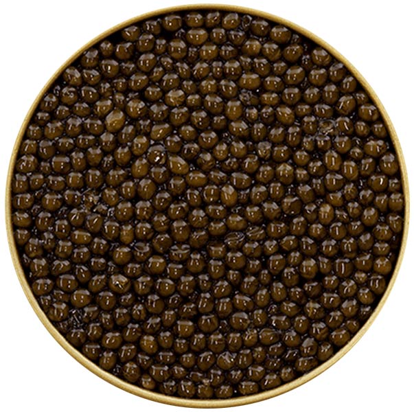 Caviar impérial Premier